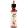 SCHWABE PHARMA ITALIA Srl OAK BACH ORIG 20ML
