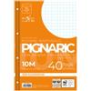 PIGNA Ricambi forati rinforzati Pignaric - A4 - 10mm - 80gr - Pigna - conf. 40 pezzi (unità vendita 1 pz.)