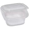 EUROPACK Contenitori in PP - con coperchio incernierato - 12 x 12 x 5,5 cm - Europack - conf. 50 pezzi (unità vendita 1 pz.)