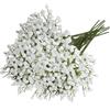 CENCERY 10 Pezzi Fiori Artificiali Bianchi Gypsophila, Fiori Baby's Breath per Bouquet Matrimonio, Centrotavola Fai-da-te e Decorazioni per Feste
