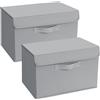 DIMJ Scatole per Armadio - Scatole Portaoggetti Contenitori con Coperchio Pieghevole, Scatola Porta Oggetti con Manici, Non Tessuto, per Armadio, Scaffali, 2 Pezzi, Grigio Chiaro, 38 x 25 x 25 cm