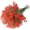 CENCERY 10 Pezzi Fiori di Gipsofila Artificiale Rossa, Decorazioni per Casa, Bouquet fai-da-te e Feste