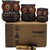 SusggO - Set di 3 gufi in legno, decorazione, intagliati a mano, gufo portafortuna, idea artistica, decorazione per mobili (Marrone Pois Mod 5)