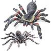 SIENON Figure realistiche di aracnidi, 2 pezzi di personaggi ragni, giocattolo per insetti, modello di azione ragni, statuette da ragno, Giant Whiteknee Tarantula, accessori di scena per Halloween