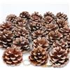 Larber 24 Pezzi Pigne Naturali di Pino Rustico Seccare Appeso Caduta Appendere Pigne con Cordino Fatte Natale Innevate Ornamento per Etichetta Regalo Albero di Natale Festa Decorazioni Autunnali e Invernali