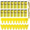 HANGGON Trappole per Mosche, 16X Rotolini Acchiappamosche + 20X Carta moschicida, Trappola per Mosche della Frutta, Insetti Interni ed Esterni, per Esterno,Interno,Giardino,Cucina