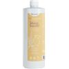 La Saponaria - Shampoo Riequilibrante Salvia e Limone per Capelli Grassi Confezione 1 Litro