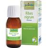 Boiron srl RIBES NIGRUM MG 60ML INT