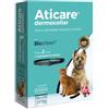 centrovete shop online Aticare Collare per Cani Inferiore a 8 kg per Mantenere l'Integrità Cutanea contro la Dermatite Atopica