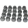 Set Dadi Ruota 20 Pezzo per Cerchi Acciaio Ford Transit 1/2000-12/2013 1576434