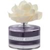 HYPNO CASA - Cofanetto Regalo con Diffusore di Fragranza Profumata per Ambiente con Fiore - 60ml (Orchidea nera)