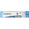 Boiron Causticum 9ch 80 Granuli Contenitore Multidose
