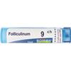 Boiron Folliculinum 9ch Granuli