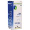 Boiron Vitis Vinifera 60ml