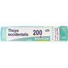 Boiron Thuya Occidentalis 200ch Granuli