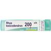 Boiron Rhus Toxicodendron 200ch 80 Granuli