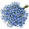CENCERY 10 Pezzi Fiori di Gypsophila Azzurri, Bouquet Artificiale per Decorazioni Casa, Esposizioni Floreali in Vaso, Feste Nuziali Fai-da-Te