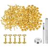 QUARKZMAN 100 Set Rivetti in Pelle 10 x 7mm Elementi Fissaggio Borchie Rivetto a Doppio Cappuccio Metallo 3Pz Montaggio Chicago per Borse Scarpe Pelle Riparazioni, Tono Oro