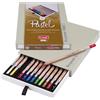 Bruynzeel Design Set di matite pastello professionali da 12 colori in scatola | Matite per artisti per disegno, schizzo e colorazione