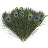 baotongle 15 pezzi piume di pavone naturali belle piume di coda di pavone per occhi piume decorazioni per fai da te Embellishments matrimonio decorazioni per la casa