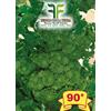Tesoro della Terra Cima di Rapa o Broccoletto 90° di Fasano Cima Grande