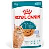 Royal Canin Cat Ageing 11+ In Jelly - Royal Canin - Cat Ageing 11+ In Jelly - 85GR