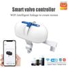 Tuya Manipolatore Universale per Valvole Smart WiFi