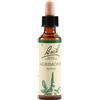 Schwabe Pharma Fiori di Bach - Agrimony gocce, 20ml