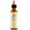 Schwabe Pharma Gentian - Gocce gentian Bach per superare lo scoraggiamento, flacone da 20 ml