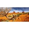 MIRRORANG 91x41cm Rettile Habitat Sfondo Arancione Deserto Terrario Sfondo Vinile Sfondo