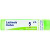 Boiron LACHESIS MUT 5CH GR