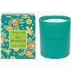 L'Erbolario Gin Botanicals Candela Profumata, 250g