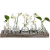 Hewory Vaso Fiori Vasi Centrotavola: 5 Vaso Decorativo da Interno con Vassoio in Legno - Vaso Vetro Trasparente Set Vasi Decorativi Vasetti Vetro per Fiori Centro Tavola Arredamento Soggiorno Casa
