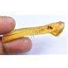 16.25 CT Naturale Tanzania Ambra Fossil Insetto Inclusione FACET Certificato