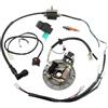 Baceyong - Kit di bobina di accensione con cablaggio elettrico, magnete e statore per risolvere guasti elettrici Compatibile con moto da cross a 4 tempi da 50 cc, 70 cc, 110 cc, 125 cc