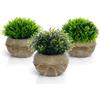 Vicloon Mini Piante Artificiali di Eucalipto, 3 Pezzi Verde Plastica Pianta Finta In Vaso, con Vaso, Piante Artificiali In Vaso per Scrivania, Camera da Letto, Soggiorno, Ufficio, Mensole, Bagno