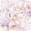 VEELIKE Carta da Parati Floreale Peonies Rosa Lavanda Carta da Parati Adesiva Muro Fiori Grandi Viola Vintage 44.5 cm × 300 cm Pellicola Adesiva per Mobili Fotomurale da Parete Bagno Camera da Letto