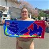 Imabari Asciugamano Rikishi stile Sumo wrestler Gonoyama Nobori Imabari 33 cm x 80 cm...
