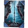 SD TOYS Harry Potter Poster Di Vetro Harry & Voldemort 30 X 40 Cm Sd Toys