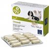 Camon Ormevit - Integratore Camon multivitaminico e ricostituente per cani e gatti, 60 compresse