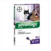 Bayer Advantage 80 mg Spot-On Per Gatti Grandi Conigli Grandi 4 Pipette Da 0,8ml