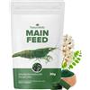 NatureHolic Mainfeed, mangime per gamberetti in Softpads, 30 g | Per l'alimentazione quotidiana. Con spirulina, moringa e proteine di insetti. Senza farina di pesce.