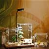 TEMU-SC Acrilico TERRARIUM, Scatola di alimentazione rettile, piccolo acquario, portatile, trasparente, adatto per barba, ragno, lucertola, scorpione(12*12*20cm)