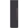 BERTAZZONI FRZ605UBLPTT/24 + 901665 + 901669 Colonna Freezer, Carbonio, 60 cm, Touch & Scroll, Display TFT, Nuova classe E