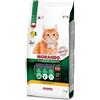 Morando Tradizioni Italiane Croccantini Gatto Sterilizzato con Pollo Kg 1,5
