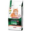 Morando Tradizioni Italiane Croccantini Gatto Sterilizzato con Salmone Kg 1,5