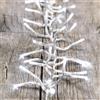 Luci da Esterno Festone di Luce 12,5 m, 1100 LED di colore Bianco Freddo, Memory Controller con 8 Giochi