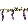 Luci da Esterno Ghirlanda glicine viola 1,8m con 70 LED Bianco Caldo, Luce fissa, IP44, Alimentatore Incluso, Prolungabile, Uso Interno ed Esterno