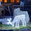 Luci da Esterno Renna che bruca, H. 50 cm, 200 LED Bianco Freddo, IP44, Uso Interno ed Esterno