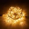 Luci da Esterno Prolunga a Grappolo 120 LED Bianco Caldo L.2,5m 10W IP44